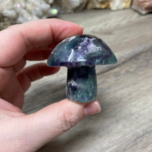 将图像加载到图库查看器中,Fluorite Mushroom #19