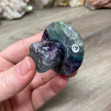 将图像加载到图库查看器中,Fluorite Mushroom #19