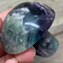 将图像加载到图库查看器中,Fluorite Mushroom #19