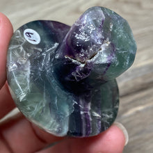 将图像加载到图库查看器中,Fluorite Mushroom #19