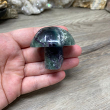 将图像加载到图库查看器中,Fluorite Mushroom #19
