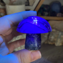 将图像加载到图库查看器中,Fluorite Mushroom #19
