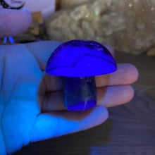 将图像加载到图库查看器中,Fluorite Mushroom #19