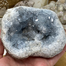 Bild in Galerie-Viewer laden, Celestite Rough Cluster #80