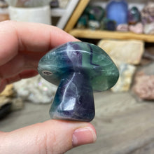 Chargez l'image dans la visionneuse de la galerie, Fluorite Mushroom #20