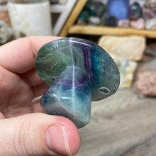 Chargez l'image dans la visionneuse de la galerie, Fluorite Mushroom #20