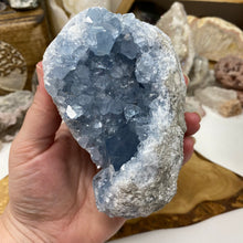 Bild in Galerie-Viewer laden, Celestite Rough Cluster #81