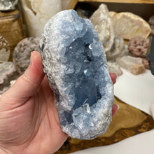 Bild in Galerie-Viewer laden, Celestite Rough Cluster #81
