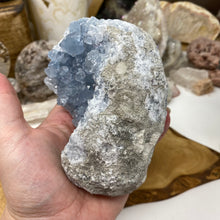 Bild in Galerie-Viewer laden, Celestite Rough Cluster #81