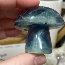 Chargez l'image dans la visionneuse de la galerie, Fluorite Mushroom #20
