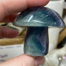 Chargez l'image dans la visionneuse de la galerie, Fluorite Mushroom #20