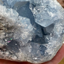 Bild in Galerie-Viewer laden, Celestite Rough Cluster #81