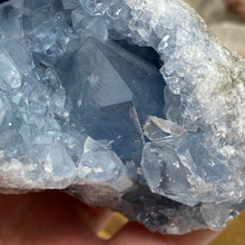 Bild in Galerie-Viewer laden, Celestite Rough Cluster #81