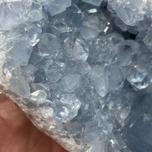 Bild in Galerie-Viewer laden, Celestite Rough Cluster #81