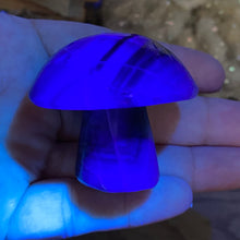 Chargez l'image dans la visionneuse de la galerie, Fluorite Mushroom #20