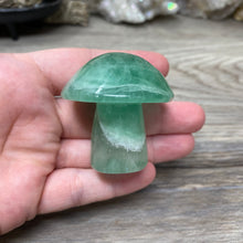将图像加载到图库查看器中,Fluorite Mushroom #23