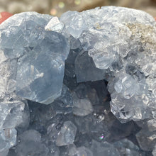 Bild in Galerie-Viewer laden, Celestite Rough Cluster #81