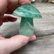 将图像加载到图库查看器中,Fluorite Mushroom #23