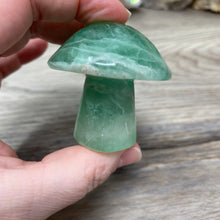 将图像加载到图库查看器中,Fluorite Mushroom #23