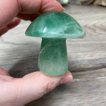 将图像加载到图库查看器中,Fluorite Mushroom #23