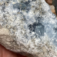 Bild in Galerie-Viewer laden, Celestite Rough Cluster #81
