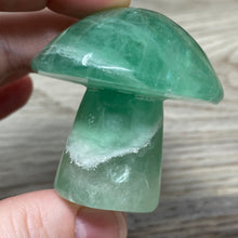 将图像加载到图库查看器中,Fluorite Mushroom #23
