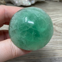 将图像加载到图库查看器中,Fluorite Mushroom #23