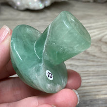 将图像加载到图库查看器中,Fluorite Mushroom #23