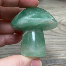 将图像加载到图库查看器中,Fluorite Mushroom #23