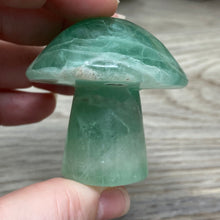 将图像加载到图库查看器中,Fluorite Mushroom #23