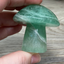 将图像加载到图库查看器中,Fluorite Mushroom #23