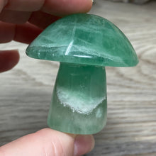 将图像加载到图库查看器中,Fluorite Mushroom #23