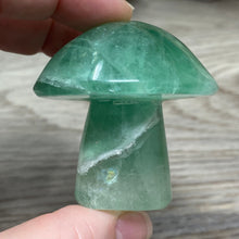 将图像加载到图库查看器中,Fluorite Mushroom #23