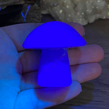 将图像加载到图库查看器中,Fluorite Mushroom #23