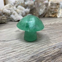 将图像加载到图库查看器中,Fluorite Mushroom #24