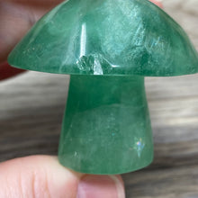 将图像加载到图库查看器中,Fluorite Mushroom #24