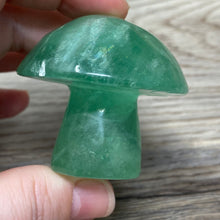 将图像加载到图库查看器中,Fluorite Mushroom #24