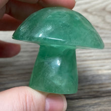 将图像加载到图库查看器中,Fluorite Mushroom #24