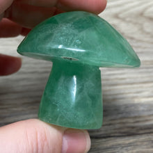 将图像加载到图库查看器中,Fluorite Mushroom #24