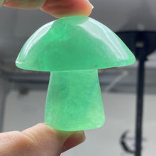 将图像加载到图库查看器中,Fluorite Mushroom #24