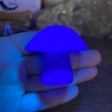 将图像加载到图库查看器中,Fluorite Mushroom #24