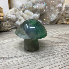 将图像加载到图库查看器中,Fluorite Mushroom #25