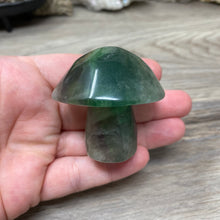 将图像加载到图库查看器中,Fluorite Mushroom #25