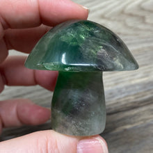 将图像加载到图库查看器中,Fluorite Mushroom #25