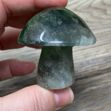 将图像加载到图库查看器中,Fluorite Mushroom #25