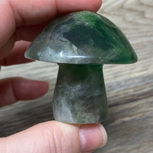 将图像加载到图库查看器中,Fluorite Mushroom #25