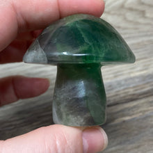 将图像加载到图库查看器中,Fluorite Mushroom #25
