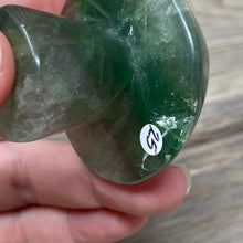 将图像加载到图库查看器中,Fluorite Mushroom #25