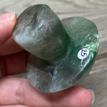 将图像加载到图库查看器中,Fluorite Mushroom #25