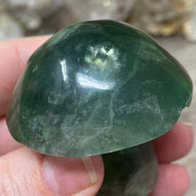 将图像加载到图库查看器中,Fluorite Mushroom #25